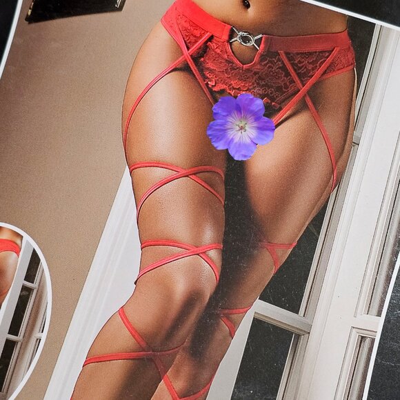 G World Intimates Basic Instinct Crotchless Panties with Leg Garters, Red, OS - Picture 4 of 5